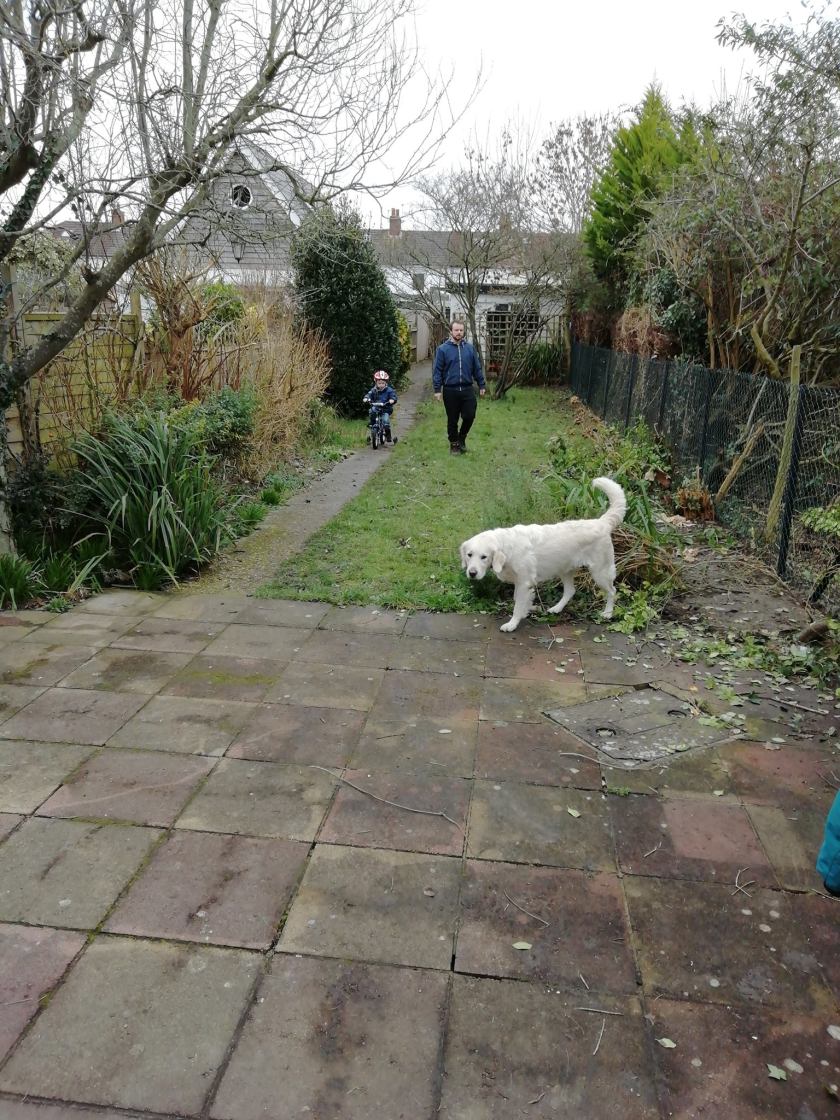 52856735_803825789961522_1707224838457786368_o