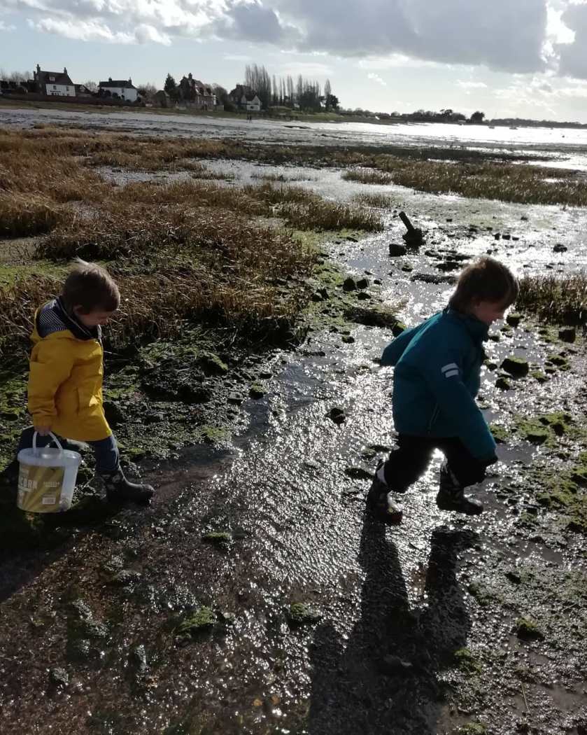 53178468_1254933314645384_569590106669947336_n