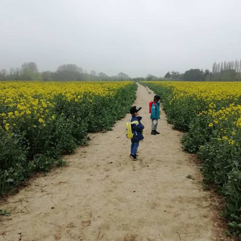 54731980_131990204604995_9095054568900740560_n